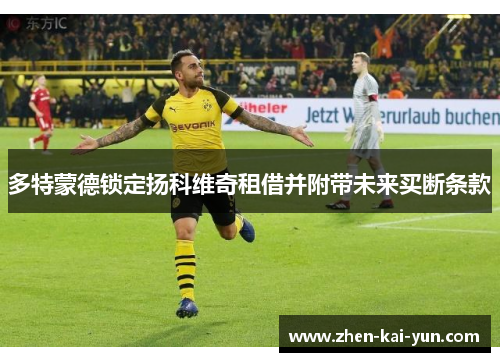 多特蒙德锁定扬科维奇租借并附带未来买断条款